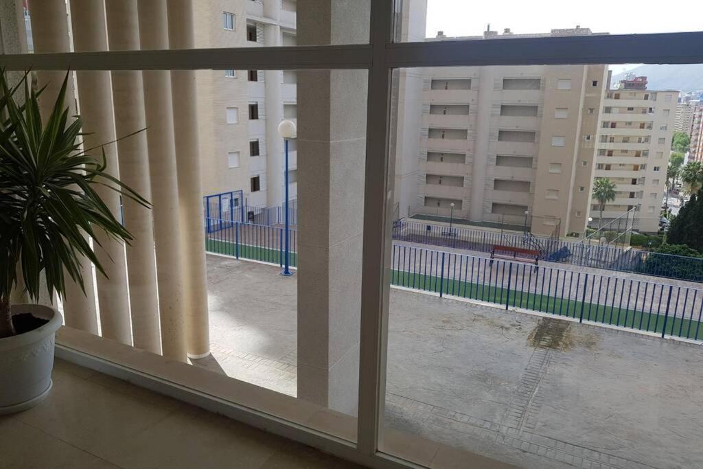 Ideal 2 بينايدورم المظهر الخارجي الصورة